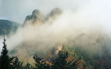 주왕산 기암 운해