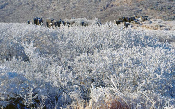 무등산은 눈꽃 세상