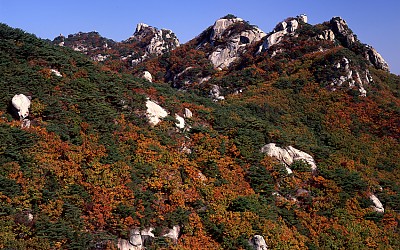 도봉산의 가을
