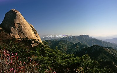북한산의 봄