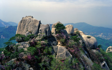 도봉산 오봉의 봄