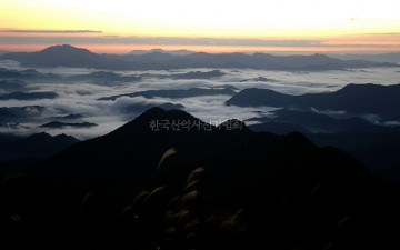 가을이 오네요!!