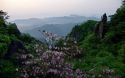 대둔산 신록.