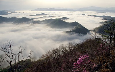 구봉산의 봄