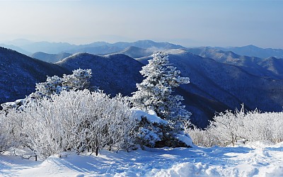 다음 차례 진사님을 위한 배려....