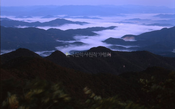 계룡산 운해