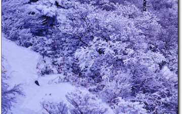 한번쯤 세로로 파노라마를 ..