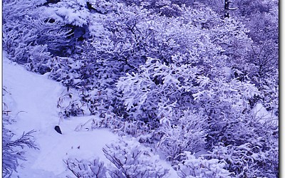 한번쯤 세로로 파노라마를 ..