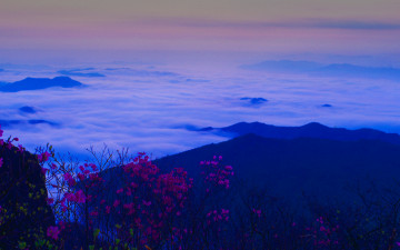 오는 봄 기다려지네요