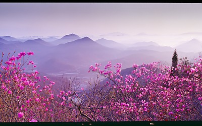 12년 첫 작품입니다