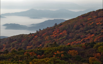 덕유산 단풍 시작입니다