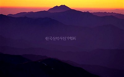 덕 유