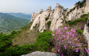 산정춘경 - 도봉산