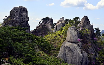 바위와 춘빛의 조화