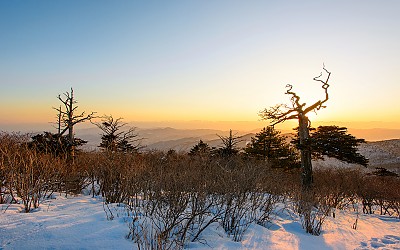 태백산