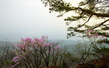 산정춘경 - 북한산