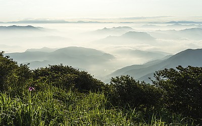 안양산