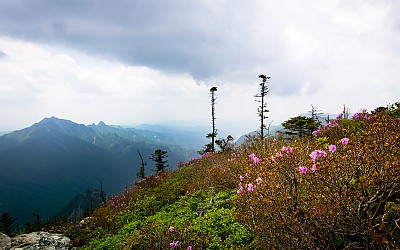 설악산의 봄