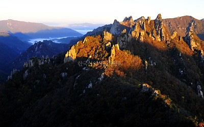 공룡의 가을 아침