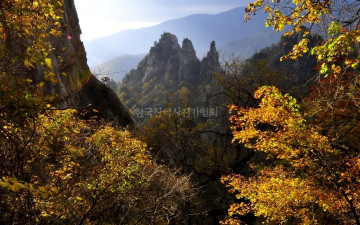 남설악의 오색 단풍