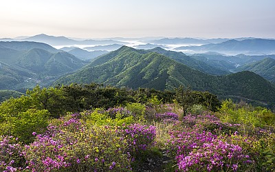 안양산