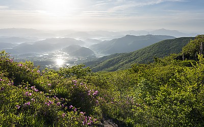 해를 품은 논