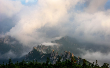 소청에서 맞은 아침