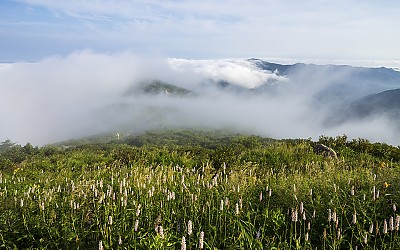 노고단