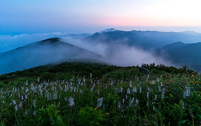 이제