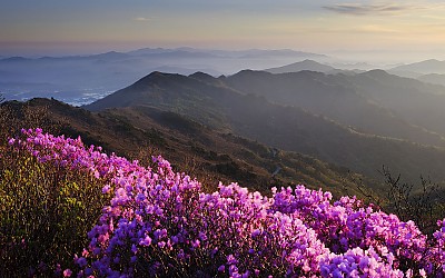 바람