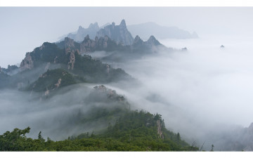 기다리던 염원을 성취하며