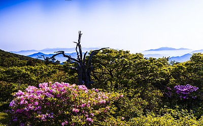 덕유산