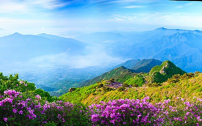 형제봉