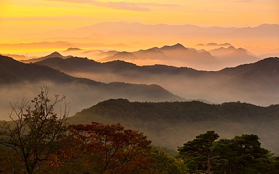 태조산의 운해