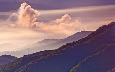 운해의소용돌이