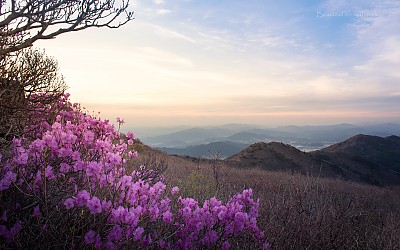 만복대