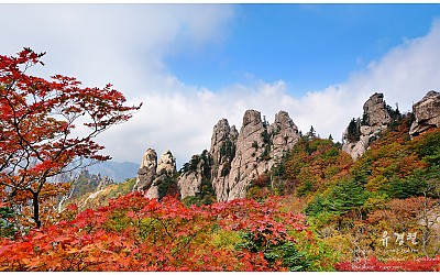 만추 (滿 秋)