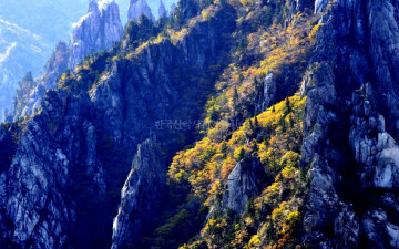 천불동 암봉의 가을