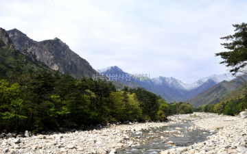설악산 저항령의 춘설
