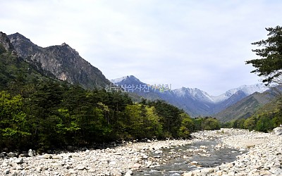 설악산 저항령의 춘설