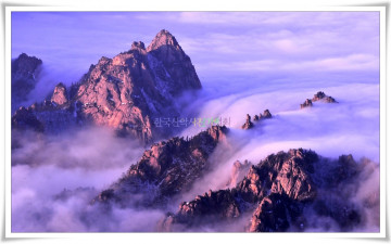 설악 공룡의 운해폭포