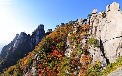 만추