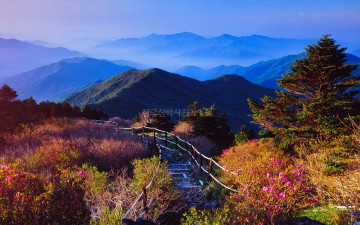 가을의 문턱에서