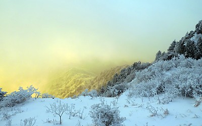 지리산에는...
