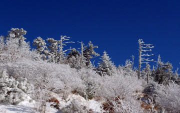 가는 겨울을 아쉬워 하다