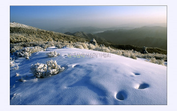 덕유의 겨울아침