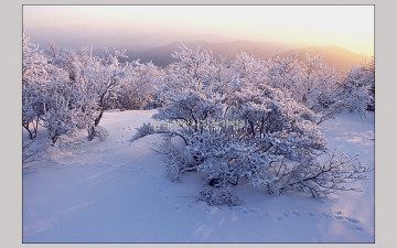 덕유의 겨울 아침2