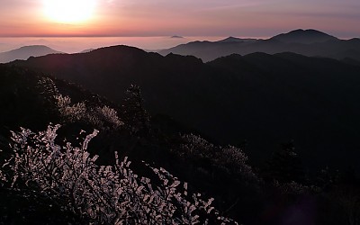 지리산의 겨울