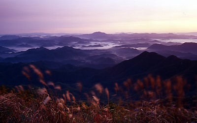 바람에 흔들리고...