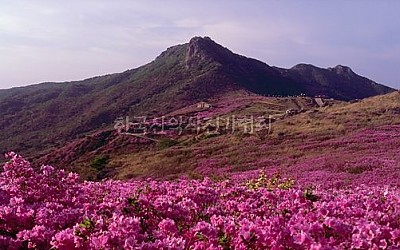 황매산